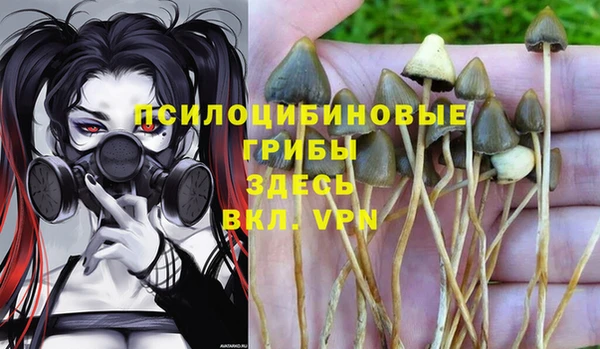 ECSTASY Алексеевка