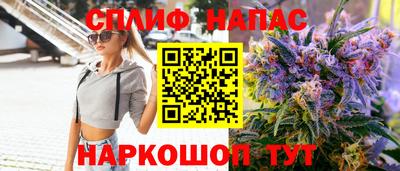 стаф Владимир