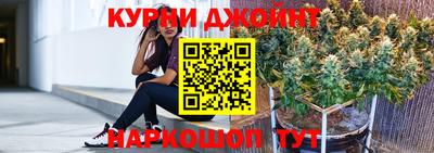 стаф Владимир