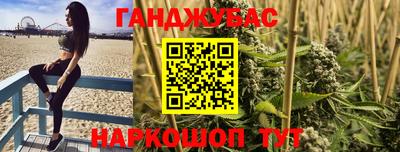 стаф Владимир