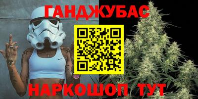 стаф Владимир