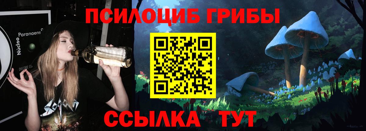 Псилоцибиновые грибы Psilocybine cubensis Невинномысск